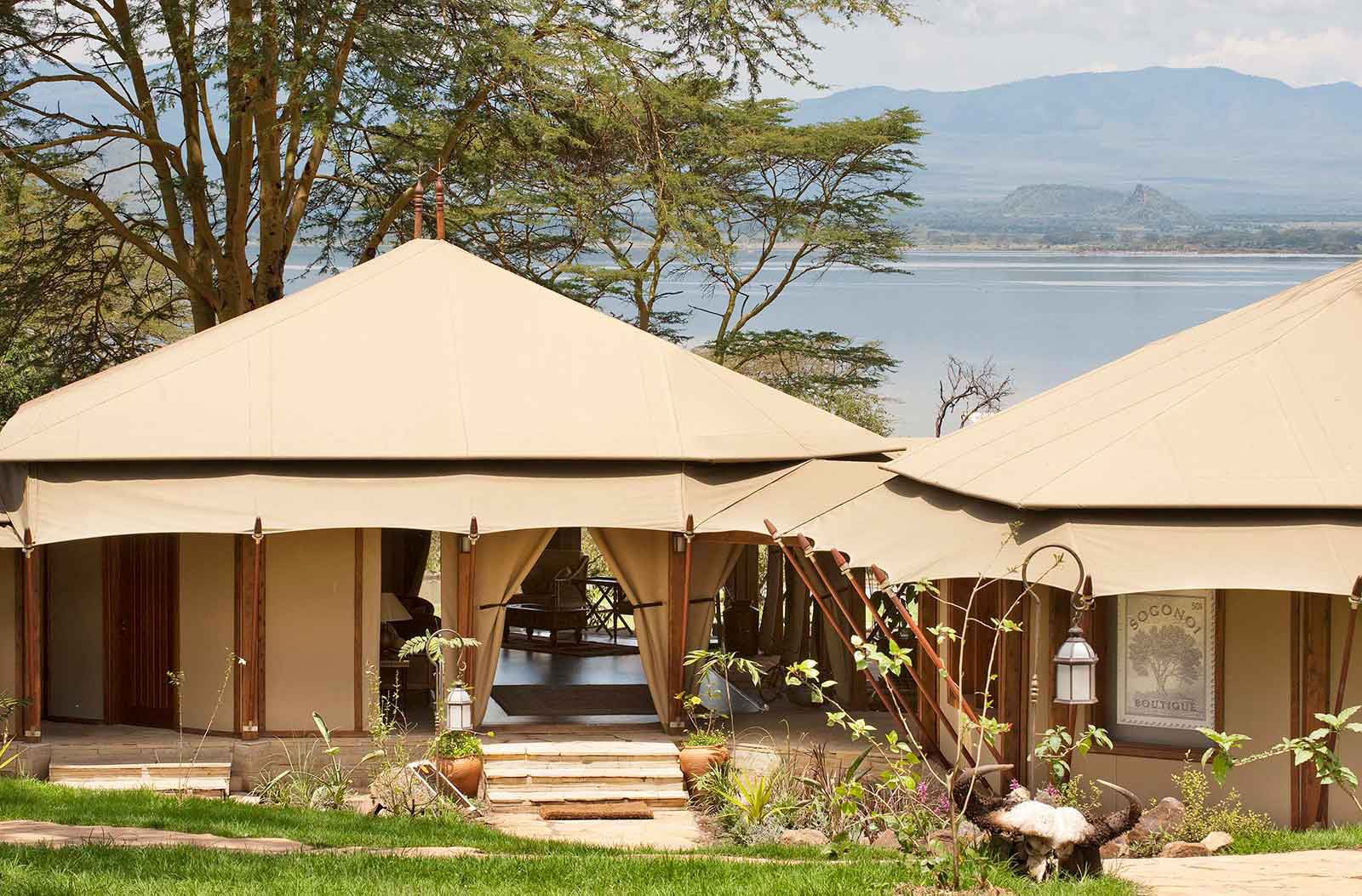 serena elementaita image 2